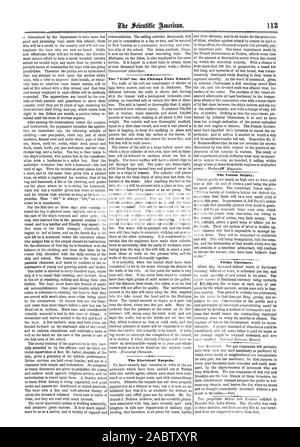 La fornitura di cotone. Moneta sporca. Il Siluro elettrico. Scientific American, 1865-08-19 Foto Stock