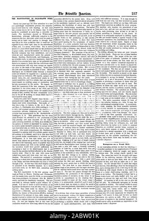 Kangaroo su un battistrada Mill., Scientific American, 1866-04-21 Foto Stock