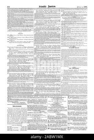 Avvisi di estensione. Nuove pubblicazioni., Scientific American, 1867-06-08 Foto Stock
