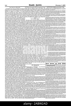 "L'acciaio sotto il microscopio. Nuove pubblicazioni. La produzione mineraria e gli elementi della ferrovia., Scientific American, 1867-12-07 Foto Stock