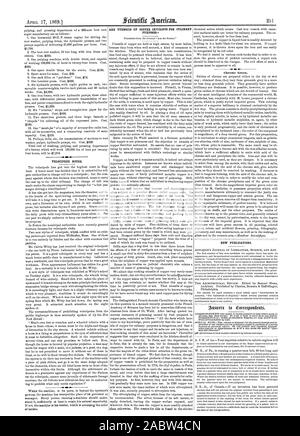 Sono utensili di pregiudizievoli in rame per fini culinari nuove pubblicazioni., Scientific American, 1869-04-17 Foto Stock