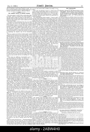 Nuove pubblicazioni. Invenzioni brevettate in Inghilterra dagli americani, Scientific American, 1869-07-11 Foto Stock