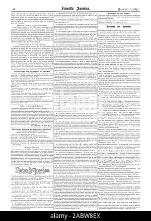 Le domande di proroga dei brevetti. Valore dei brevetti estesi. MUNN d5 CO 37 Park liou invenzioni brevettate in Inghilterra dagli americani. Brevetti stranieri. Esempi per le signore., Scientific American, 1872-01-11 Foto Stock