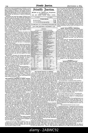 Nuove risorse industriali delle colonie francesi. N° 87 PARK ROW NEW YORK. ner . 23 O 2 50 contenuto.: il siluro pratica a Newport. Recenti ricerche metallurgiche. Protezione da fulmini., Scientific American, 1874-09-05 Foto Stock