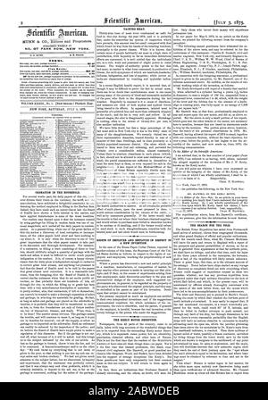 N° 87 PARK ROW. NEW YORK TERMINI. Tariffe club: la cremazione in ambiente domestico. Carne GUASTATASI. Diritti del datore di lavoro e lavoratori per quanto riguarda T una nuova invenzione. Il motore FEELY inganno. La ricerca per la pole., Scientific American, 1875-07-03 Foto Stock