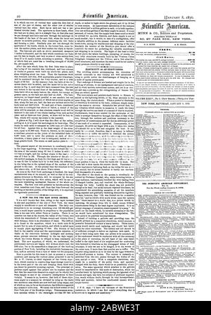 Un nuovo impiego per l'East River Bridge. Energia elettrica come un carnefice. N° 87 PARK ROW. NEW YORK. Termini. Tariffe club. 53 52 2 0 contenuto. Il Scientific American SUPPLEMENT., 1876-01-08 Foto Stock