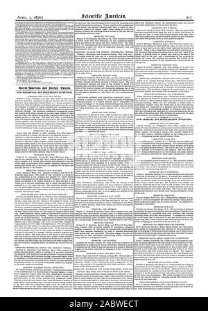 Nuova meccanica e invenzioni di ingegneria. Nuove sostanze chimiche e varie invenzioni., Scientific American, 1876-04-01 Foto Stock