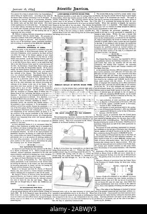 Diffusione DIPMTHERIA DA RIME& agricole nuove invenzioni. - Un pesce internazionali mostrano. Il giroscopio GRUEY E TRE pendolo giroscopico. Note di petrolio. St t, Scientific American, 1879-01-18 Foto Stock