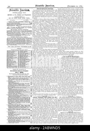 MOW. N° 87 PARK ROW NEW YORK. Termini per la Scientific American. Il Scientific American Supplement Scientific American edizione di esportazione. Contenuto. Il Scientific American supplemento n. 200 AMERICAN INGEGNERI MECCANICI. Scariche elettriche da animali e uomini. Un nuovo sistema di apprendistato OP. Internazionale di Londra mostra di fresatura. Influenza del Mississippi miglioramento., 1880-11-20 Foto Stock