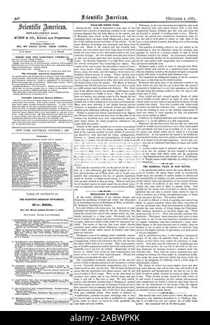 MUNN & CO. Editori e proprietari. Termini per la Scientific American. Il Scientific American Supplement Scientific American edizione di esportazione. Contenuto. Il Scientific American SUPPLEMENT NCA. 800 campo e gli incendi boschivi. Metallurgia del nichel. Il GERMINAL VALORE DELLE NUOVE VERITÀ., 1881-10-01 Foto Stock