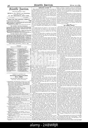 1S45. Settimanale PUBLTSHED al n. 261 Broadway New York. 0. D. MUNN. A. E. BEACH. Termini per la Scientific American. Una copia un anno spedizione compresa MUNN & CO. 261 Broadway corner di Warren Street a New York. Il Scientific American Supplement è un documento distinto dal Scientific American. Il supplemento è emessi settimanalmente. Ogni numero contiene 16 octavo pagine di dimensione uniforme con Scientific American. Condizioni di abbonamento per integrare tutte le news rivenditori in tutto il paese alle carte a un solo indirizzo o indirizzi differenti come desiderato. Il modo più sicuro per mandato è in progetto un vaglia postale o Foto Stock