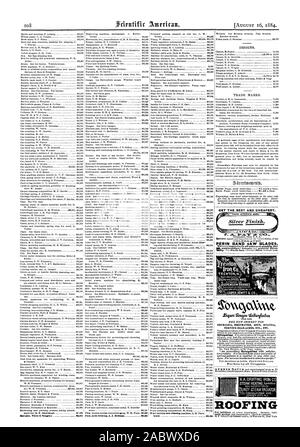 CET il migliore e più conveniente. Perino lame per seghe a nastro TRADE NARK NEVRALGIA RHEUHATISH GOTTA SCIATICA. Testa nervoso-indolenzimenti etc. Ecc. Per la vendita da parte di tutti i droghieri. Per tetti, Scientific American, 1884-08-16 Foto Stock