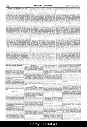 Incidente a un inglese un treno Express. 44 La decisione di brevetto. L'acqua di alimentazione del Niagara. Recentemente invenzioni brevettate. Apparecchiature ferroviarie. Mining ecc. Meccanico elettrico. Agricola. Varie., Scientific American, 1894-12-11 Foto Stock