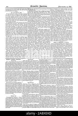 La perdita di fuoco nel 1895. Pericolo di peste bovina in America. Recentemente invenzioni brevettate. Meccanica. Mining ecc. Agricola. Varie., Scientific American, 1896-09-11 Foto Stock