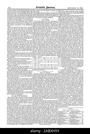 I raggi del Glow Worm. Abbigliamento oliato. Cicli per gli agricoltori. L'attuale supplemento. Con tende. (Illustrato gli articoli sono contrassegnati con un asterisco.) progresso americano in inglese industries 162 cuscinetto a sfera Hitchcock 164 Offerte per corazzate 166 libri nuovi 173 pezzi fusi in bronzo 164 Culla dell' uccello 161 di piegatura porta su 170 Cuba risorse sottosviluppate di 163 cicli per gli agricoltori 172 Evoluzione del prof. Haeckel su 166 esposizione. Omaha 161 168 alimenti ' artificiale 162 Glow Worm raggi del governo 172 presenta Omaha 168 invenzioni brevettato recentemente 173 ufficiale più antico American 166 locomotore pigmeo 167 Foto Stock