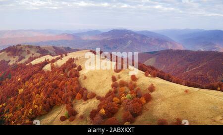 In Autunno le montagne e il rosso del bosco di faggio nelle montagne dei Carpazi, Ucraina. Antenna fuco vista sul bellissimo paesaggio montano di sunrise Foto Stock