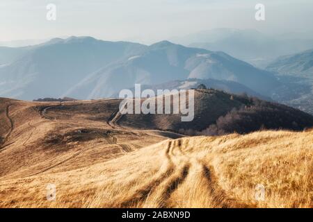 Erba gialla tremante nel vento in autunno le montagne di sunrise. Carpazi, Ucraina. Fotografia di paesaggi Foto Stock