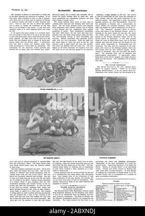 Acienting American l'attuale supplemento. Una famiglia di opossum. Gli arrampicatori giovanile. Swedish spedizione in Antartide. Da OEM corrispondente a Londra. Contenuto., Scientific American, 1901-11-23 Foto Stock