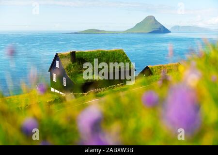 Mattinata nebbiosa vista di una casa con il tipico turf-top tetto di erba nel villaggio Velbastadur sull isola di Streymoy, isole Faerøer, Danimarca. Fotografia di paesaggi Foto Stock