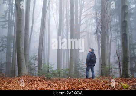 L uomo nel misterioso bosco di faggio nella nebbia. Autunno in mattinata il Bosco nebbioso. Magica atmosfera di nebbia. Fotografia di paesaggi Foto Stock