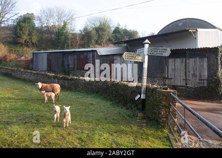 Segno posto a sud di Allington, Devon, con pecore nel campo Foto Stock