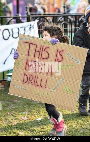 Glasgow, Regno Unito. 29 Nov, 2019. Glasgow, Regno Unito. Venerdì, Novembre 29th, 2019. I sostenitori del YouthStrike4Clima protesta a George Square, Glasgow. Credito: Kenny Brown/Alamy Live News Foto Stock