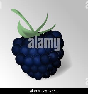 Blackberry su sfondo bianco. More isolato. Vettore 3d'illustrazione. Lampone icona vettore illustrazione. Frutta fresca Illustrazione Vettoriale