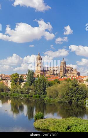 Il tardo gotica e barocca e Catedral Nueva, o la nuova cattedrale, visto oltre il fiume Tormes, Salamanca, provincia di Salamanca Castiglia e Leon, Spagna. Th Foto Stock