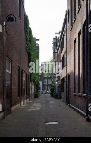 Vista della tradizionale, edifici storici con pareti in mattoni in Amsterdam. È soleggiata giornata estiva. Foto Stock