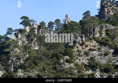 Formazioni geomorfologia di Els porte del Parco Naturale, un calcare massiccio montuoso al confine tra Aragona e Catalogna Foto Stock