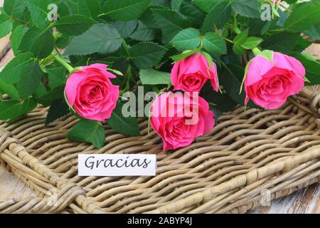 Gracias (grazie in spagnolo) la scheda con il rosa rose selvatiche sul vassoio di vimini Foto Stock