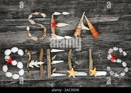 Abstract di driftwood, conchiglie e ciottoli formanti le parole conchiglie di mare su legno rustico sfondo. Foto Stock