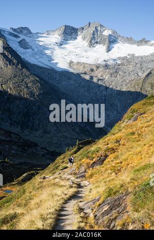 Due escursionisti maschio sul Berliner Höhenweg Alta Via di fronte del ghiacciaio Waxggkees e Monte Großer Möseler, Zillertal, Tirolo, Austria Foto Stock