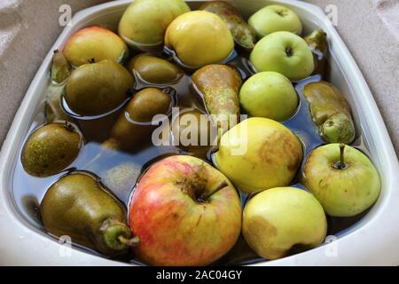 Appena raccolto le mele e le pere in una ciotola di acqua Foto Stock