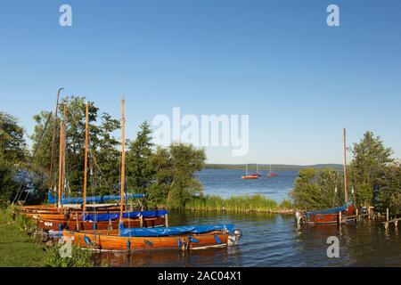 Auswanderers, tradizionale in legno barche a vela ormeggiata in Steinhuder Meer / Lago Steinhude, Bassa Sassonia / Bassa Sassonia, Germania Foto Stock