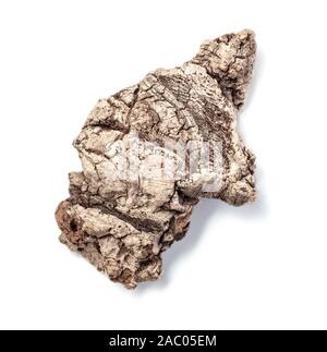 Driftwood/ legno invecchiato su sfondo bianco. Pezzo isolato di driftwood stick top view close up. Foto Stock