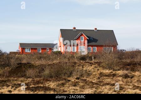 Ferienhaus, Heidelandschaft, Munkmarsch, Sylt Foto Stock