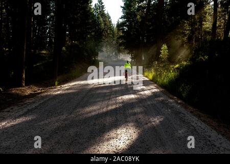 MT00360-00...MONTANA - la mattina presto in luce il grande divario percorso in mountain bike nelle vicinanze Seeley Lake, Contea di Missoula. Foto Stock