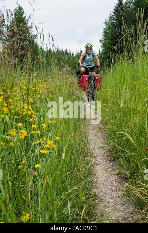 MT00364-00...MONTANA - Vicky Primavera in bicicletta a due vie di sezione del grande divario percorso in Mountain Bike a nord del Lago di Olanda. Signor# S1 Foto Stock