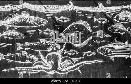 Chalk immagine disegnata sulla lavagna raffigurante il polpo e diversi tipi di pesci nuotare sotto l'acqua suface Foto Stock