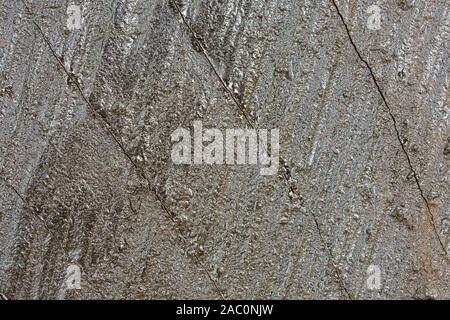 Colore grigio-blu del legname con weathered crack linee e texture di legno Foto Stock