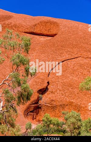 La passeggiata Mala va dal parcheggio di Mala alla Gola di Kantju lungo la base di Uluru (Ayres Rock). Uluru, territorio del Nord, Australia Foto Stock