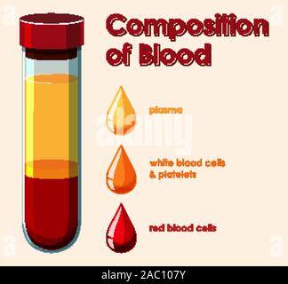 Diagramma che mostra la composizione di illustrazione del sangue Illustrazione Vettoriale