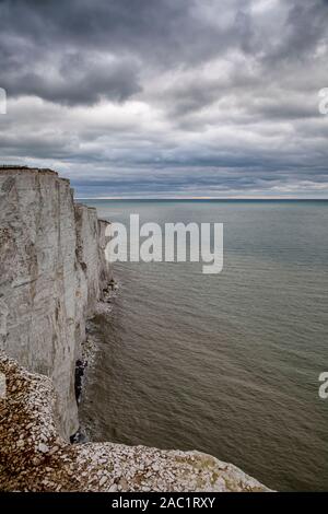 Chalk cliffs, Beachy Head Foto Stock