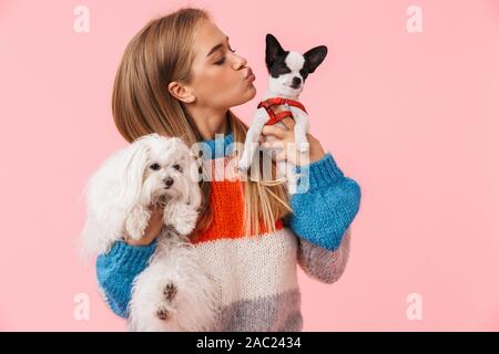 Carino bella ragazza vivace che indossa un maglione giocando con il suo animale domestico chihuahua e lapdog isolate su sfondo rosa Foto Stock