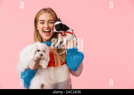 Carino bella ragazza vivace che indossa un maglione giocando con il suo animale domestico chihuahua e lapdog isolate su sfondo rosa Foto Stock