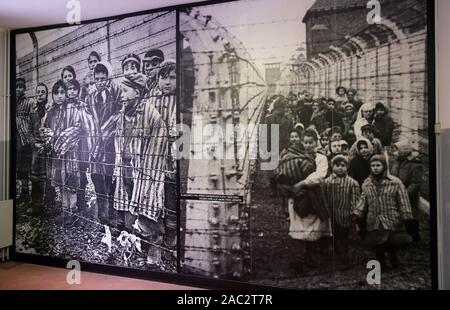 Oswiecim, Polonia. 30 Novembre, 2019. Le fotografie dei detenuti all'interno del Museo di Auschwitz i camp.In due mesi il settantacinquesimo anniversario della liberazione di Auschwitz. Il tedesco più grande campo di lavoro e sterminio nazista KL Auschwitz-Birkenau fu liberata da parte dell'Armata Rossa il 27 gennaio 1945. Credito: Damian Klamka/ZUMA filo/Alamy Live News Foto Stock