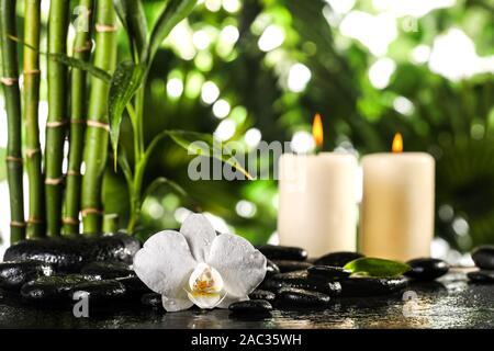 Grean foglie di bambù, white orchid flower, asciugamano e candele su nero pietre zen sulle foglie tropicali sfondo Foto Stock