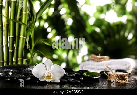 Grean foglie di bambù, white orchid flower, asciugamano e candele su nero pietre zen sulle foglie tropicali sfondo Foto Stock