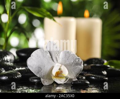 Grean foglie di bambù, white orchid flower, asciugamano e candele su nero pietre zen sulle foglie tropicali sfondo Foto Stock